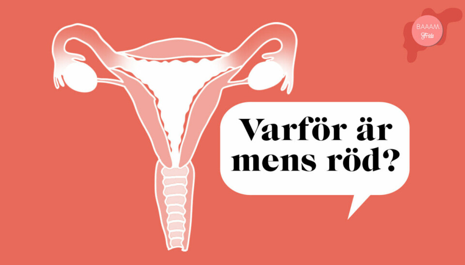 Röd, brun eller rosa – vilken färg ska mensen ha ?
