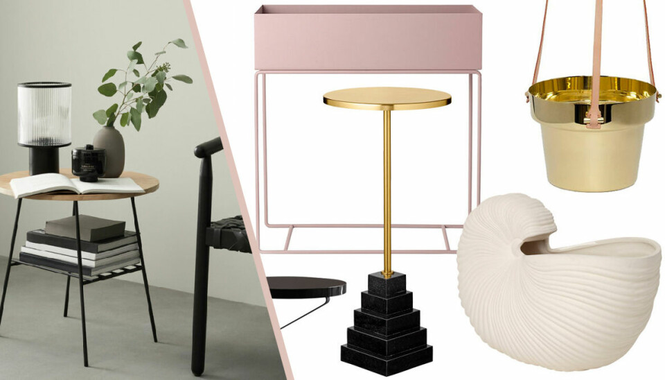 Inred med växter – 19 fina shoppingtips