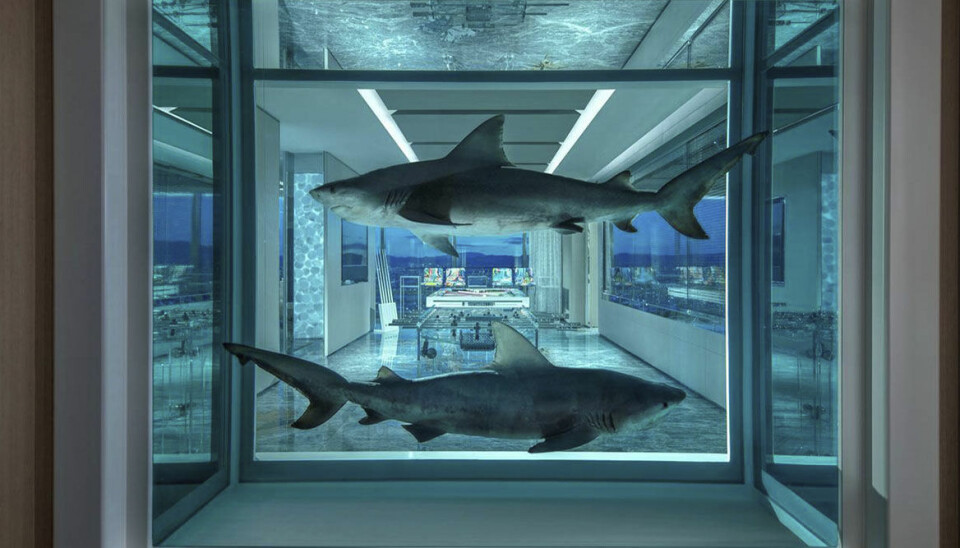 Damien Hirst har designat världens dyraste hotellsvit