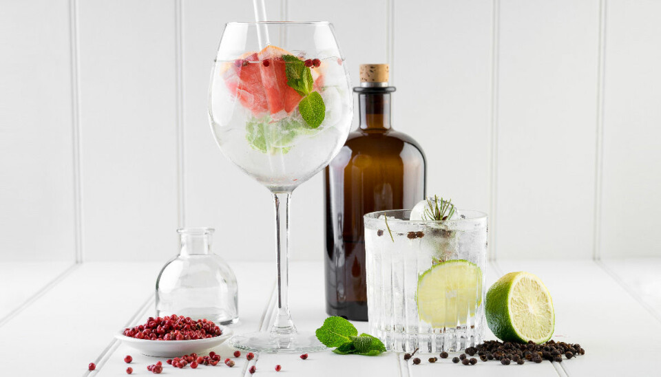 Så gör du härliga vårdrinkar – med hemgjord tonic