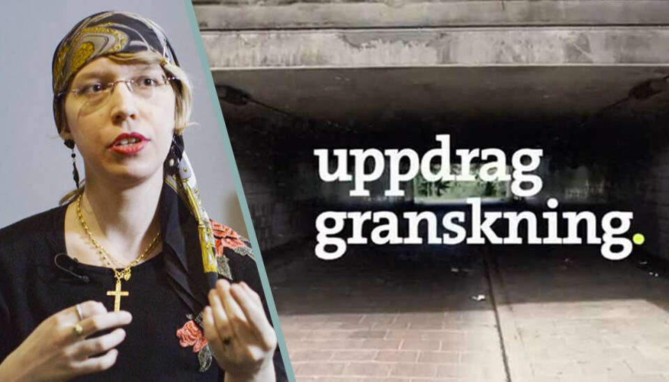 Kritiken efter granskningen om transpersoner som ångrar sin vård