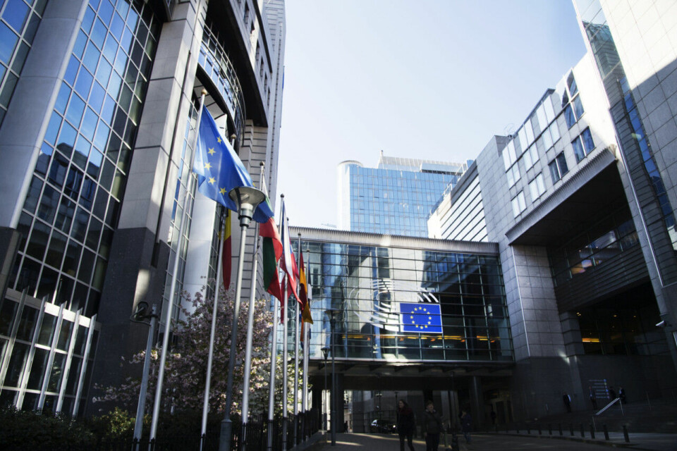 Allt du behöver veta om EU-valet