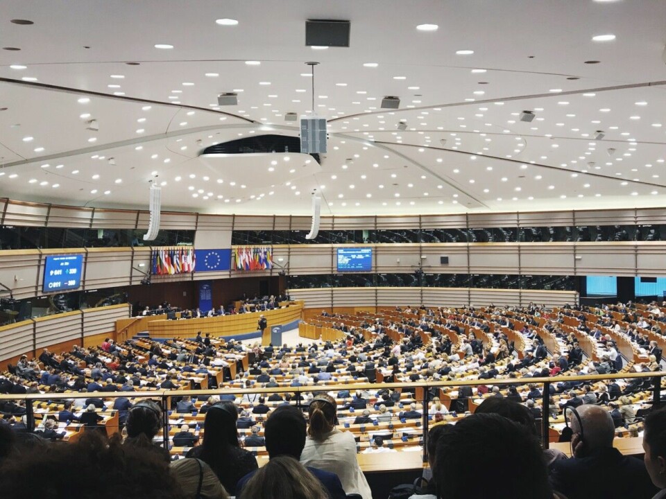 Allt du behöver veta om EU-valet
