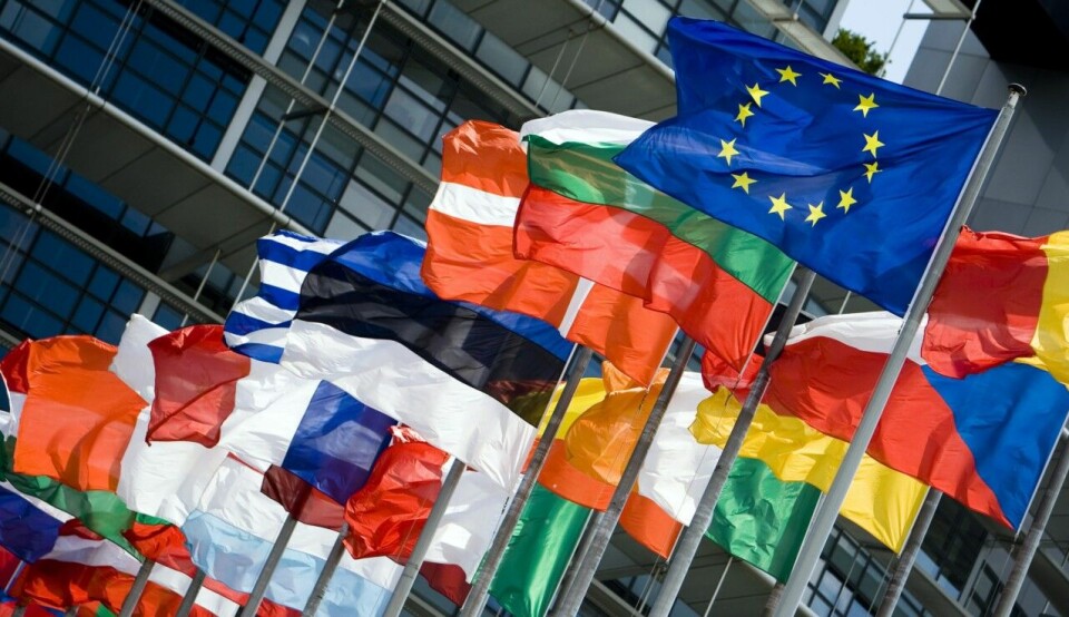 Allt du behöver veta om EU-valet