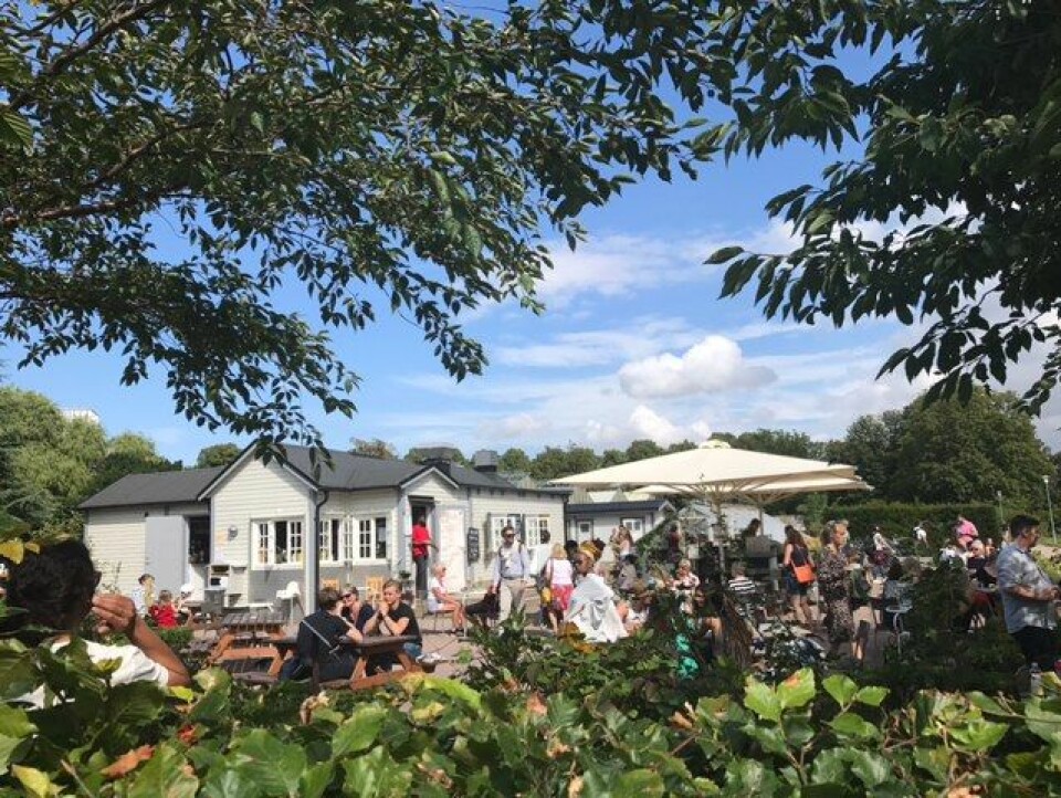 Slottsträdgårdens Kafé bjuder på såväl fika som vin och växtlighet. Foto: Slottsträdgården Slottsträdgårdens Kafé bjuder på såväl fika som vin och växtlighet. Foto: Slottsträdgården