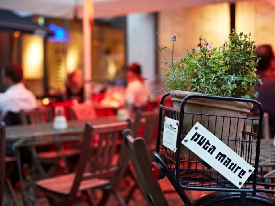 17 av Göteborgs bästa uteserveringar