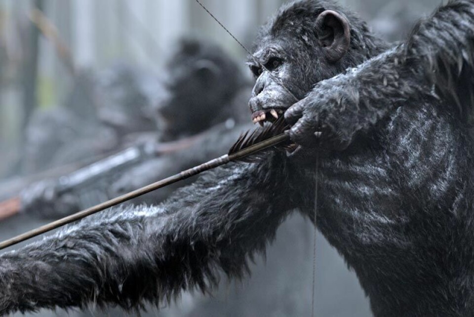 War for the Planet of the Apes kommer till Viaplay i maj. Foto: Viaplay War for the Planet of the Apes kommer till Viaplay i maj. Foto: Viaplay