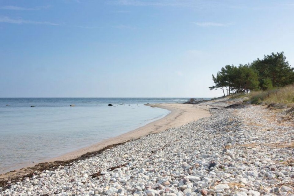 14 stränder på Gotland du inte får missa i sommar