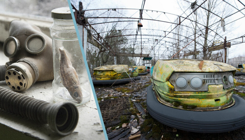 Turistboom för Tjernobyl efter HBO-serien – så ser platsen ut i dag