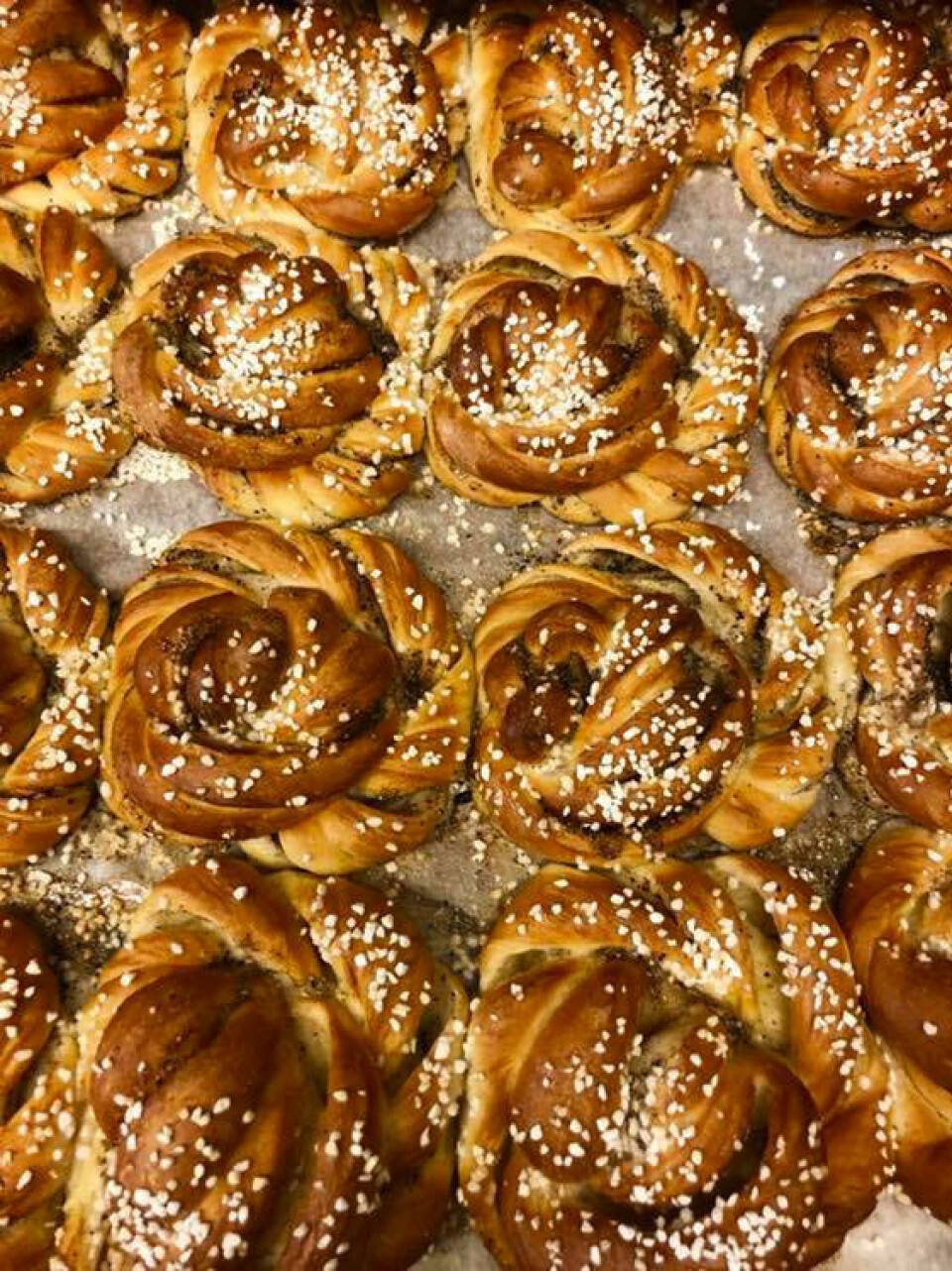 Bullar i långa rader från Sylvis döttrar på Fårö. Bullar i långa rader från Sylvis döttrar på Fårö.