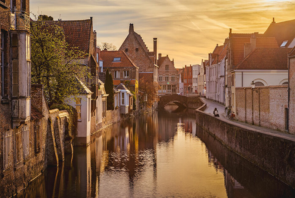Foto: Shutterstock Foto: Shutterstock