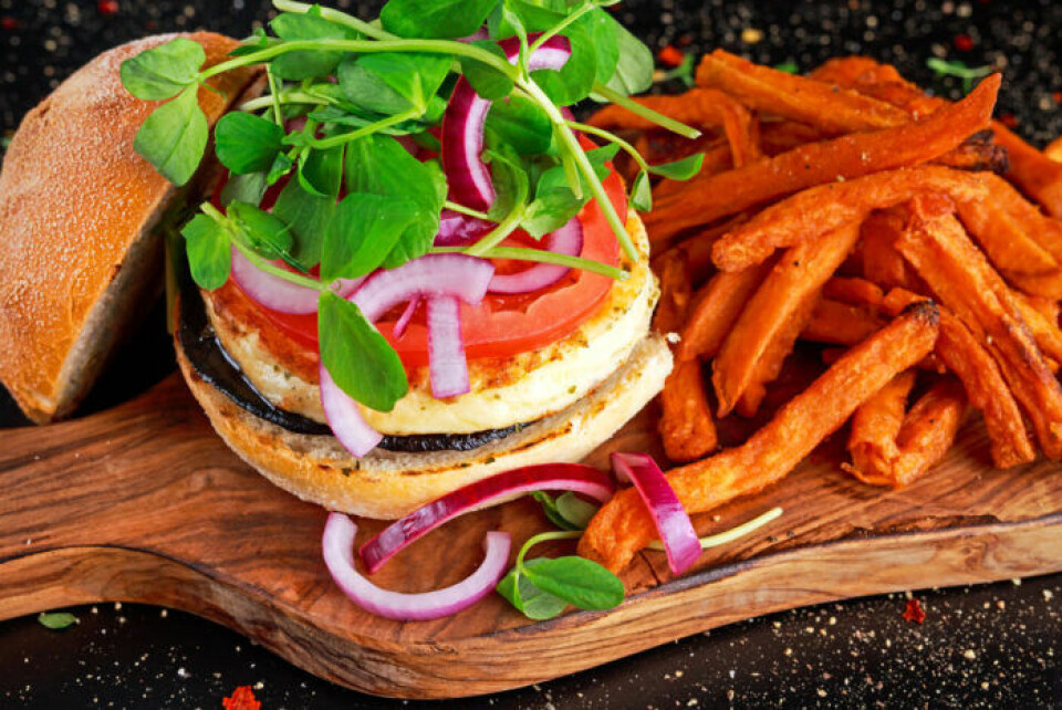 Det finns goda alternativ till halloumi, till exempel grillost och eldost. Det finns goda alternativ till halloumi, till exempel grillost och eldost.