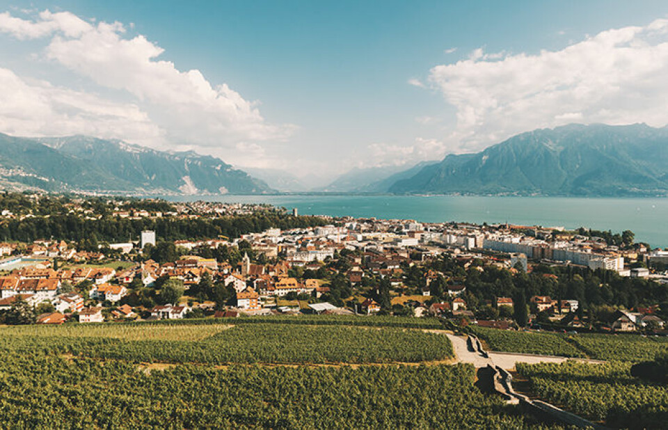 Foto: Shutterstock Foto: Shutterstock