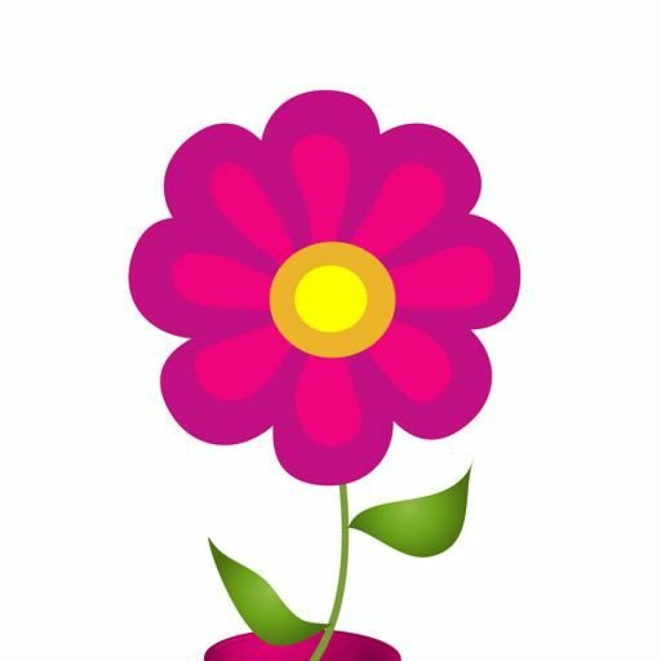 7 appar för dig som är eller vill bli gravid