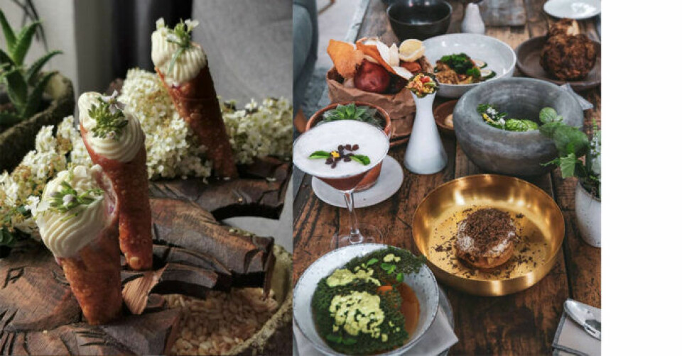 Vegansk mat av mycket hög klass på VeVe. Vegansk mat av mycket hög klass på VeVe.