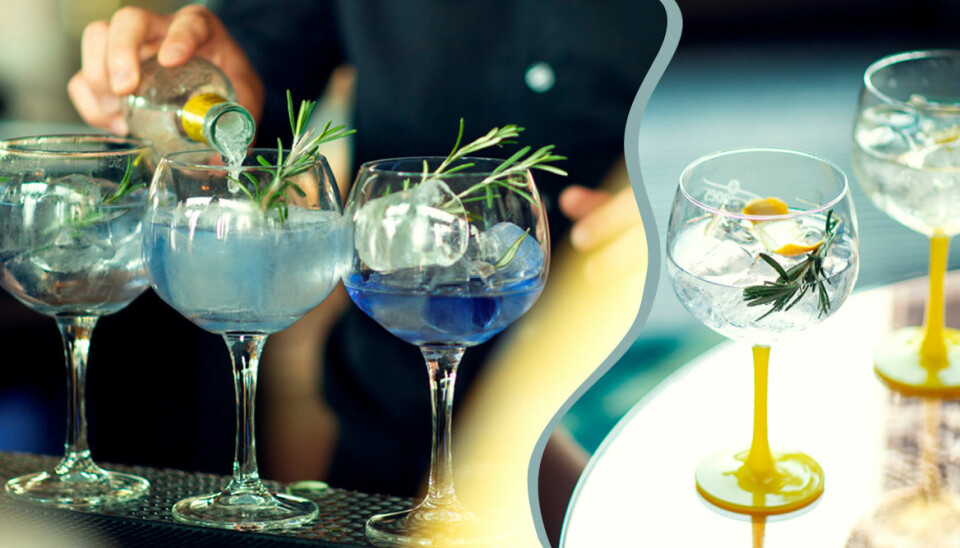 Sveriges bästa Gin & Tonic – här är recepten
