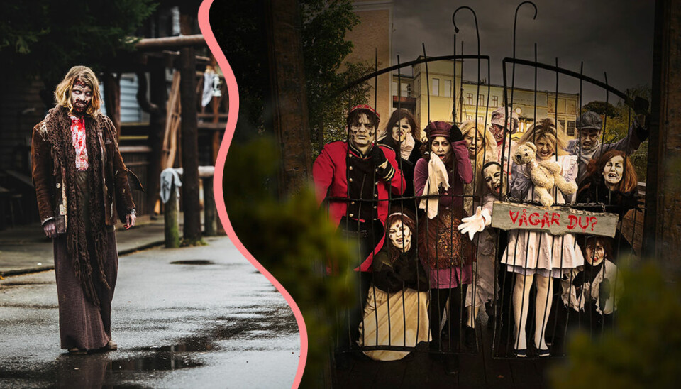 Halloween 2019: 10 nöjesparker med läskiga aktiviteter