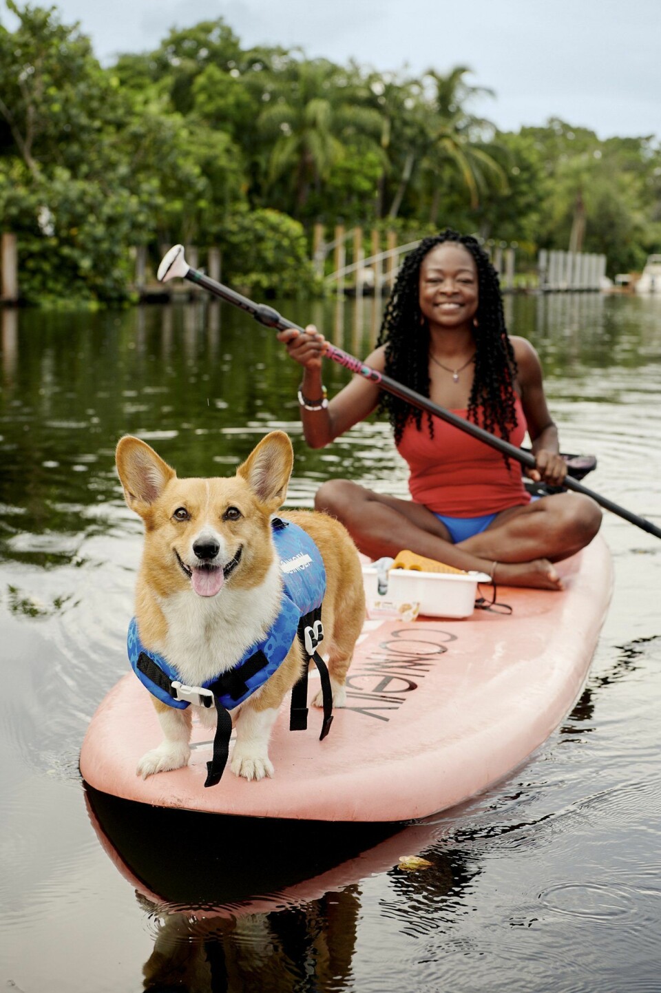 Nu kan du prova SUP med en corgi via Airbnb:s nya djurupplevelser. Foto: Airbnb Nu kan du prova SUP med en corgi via Airbnb:s nya djurupplevelser. Foto: Airbnb