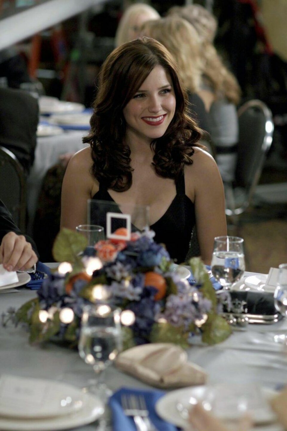 Sophia Bush. Sophia Bush.