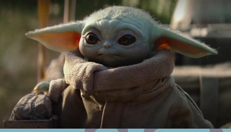 Vad är Baby Yoda? Baaam reder ut