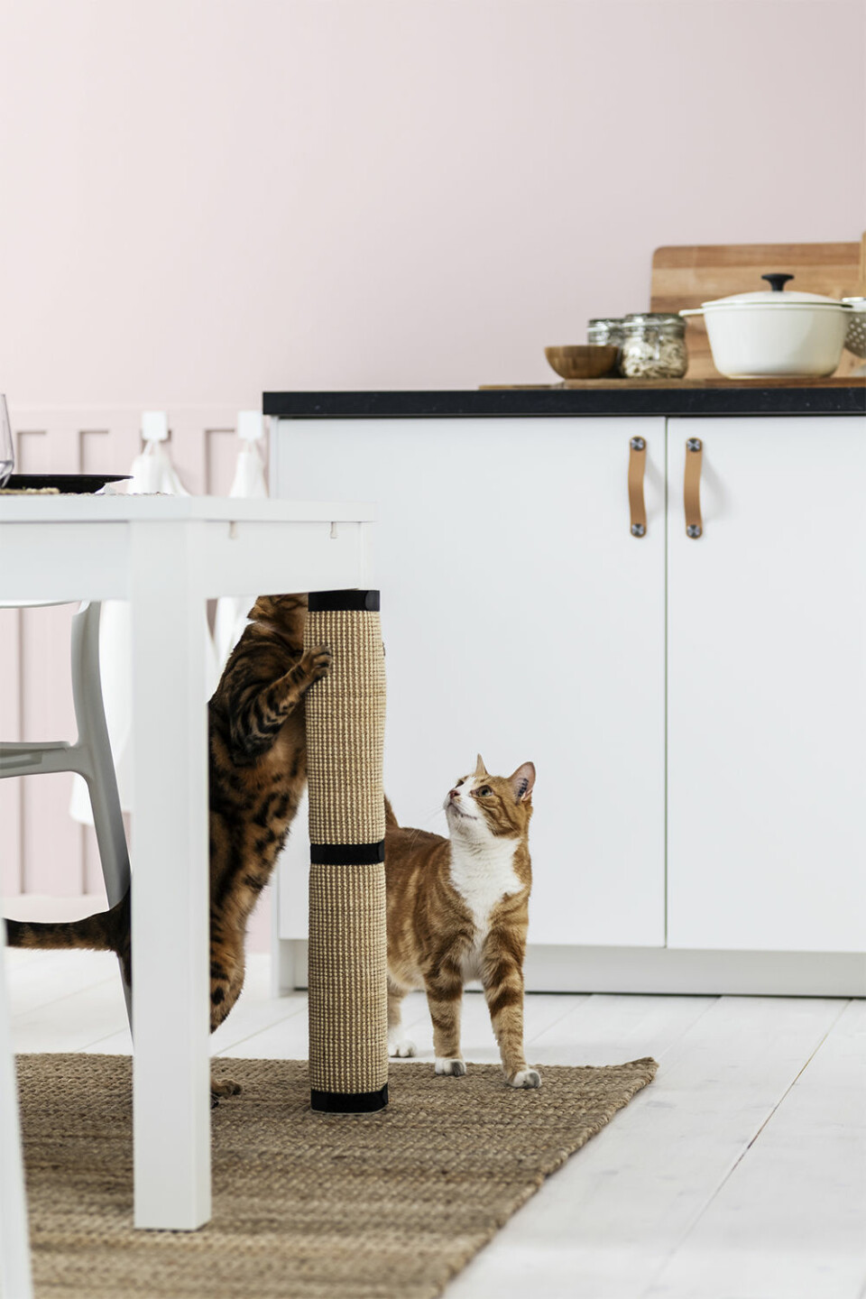 Ikea lanserar kollektion för katter och hundar