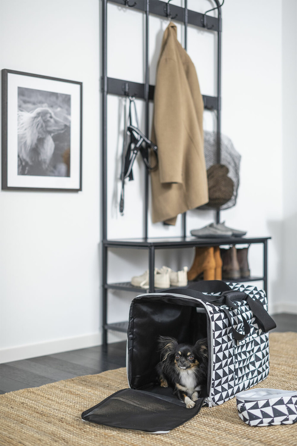 Ikea lanserar kollektion för katter och hundar