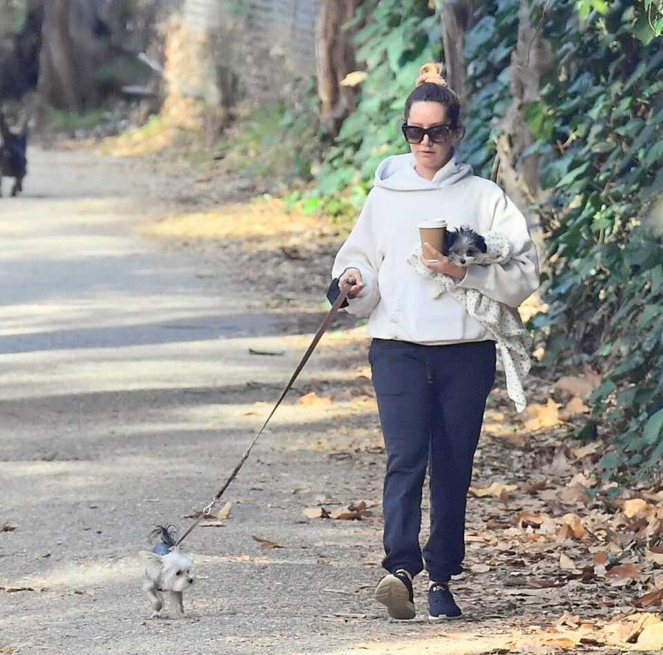 Ashley Tisdale med hundarna Ziggy och Sushi Sue. Ashley Tisdale med hundarna Ziggy och Sushi Sue.