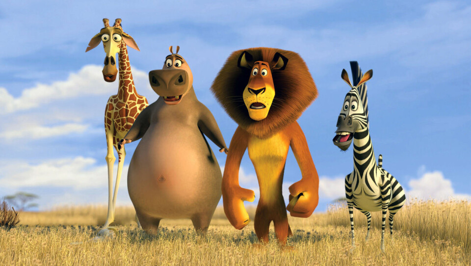 David Schwimmer gjorde rösten till giraffen Melman i Madagaskar tillsammans med Jada Pinkett som flodhästen Gloria, Ben Stiller som lejonet Alex och Chris Rock som zebran Marty. David Schwimmer gjorde rösten till giraffen Melman i Madagaskar tillsammans med Jada Pinkett som flodhästen Gloria, Ben Stiller som lejonet Alex och Chris Rock som zebran Marty.