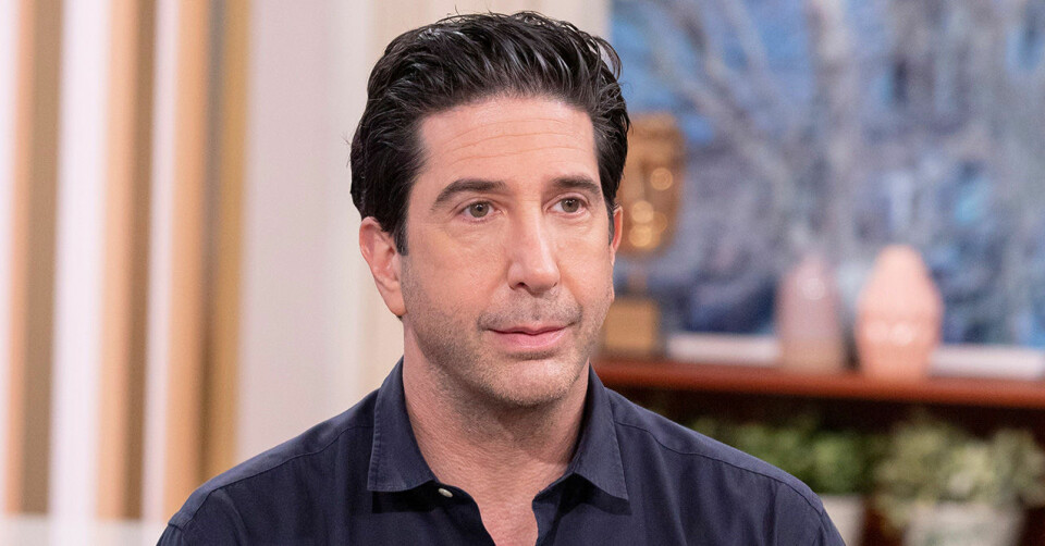 David Schwimmer har pysslat med lite av varje de senaste åren. David Schwimmer har pysslat med lite av varje de senaste åren.