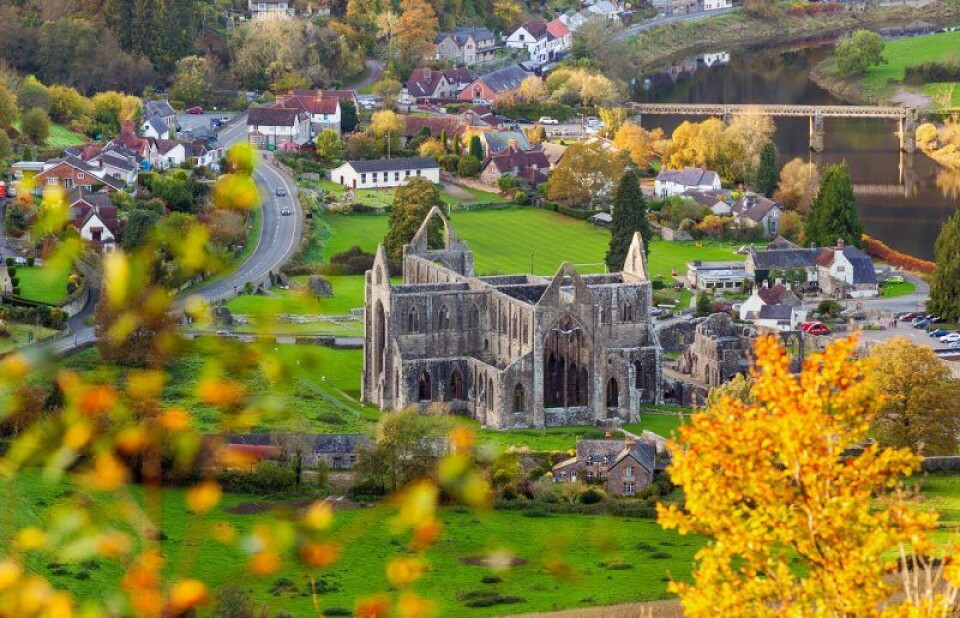 Wye Valley och Forrest of Dean har fantastiska omgivningar att utforska under vår, sommar och höst! Wye Valley och Forrest of Dean har fantastiska omgivningar att utforska under vår, sommar och höst!