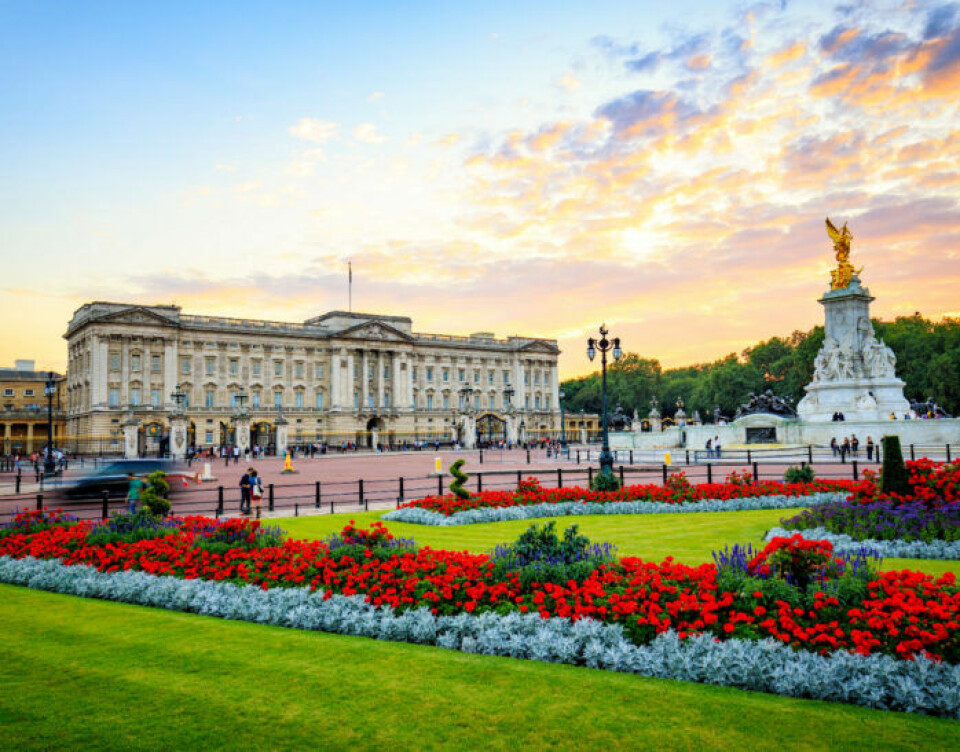 Upplev världen från din soffa – 11 attraktioner du kan besöka online