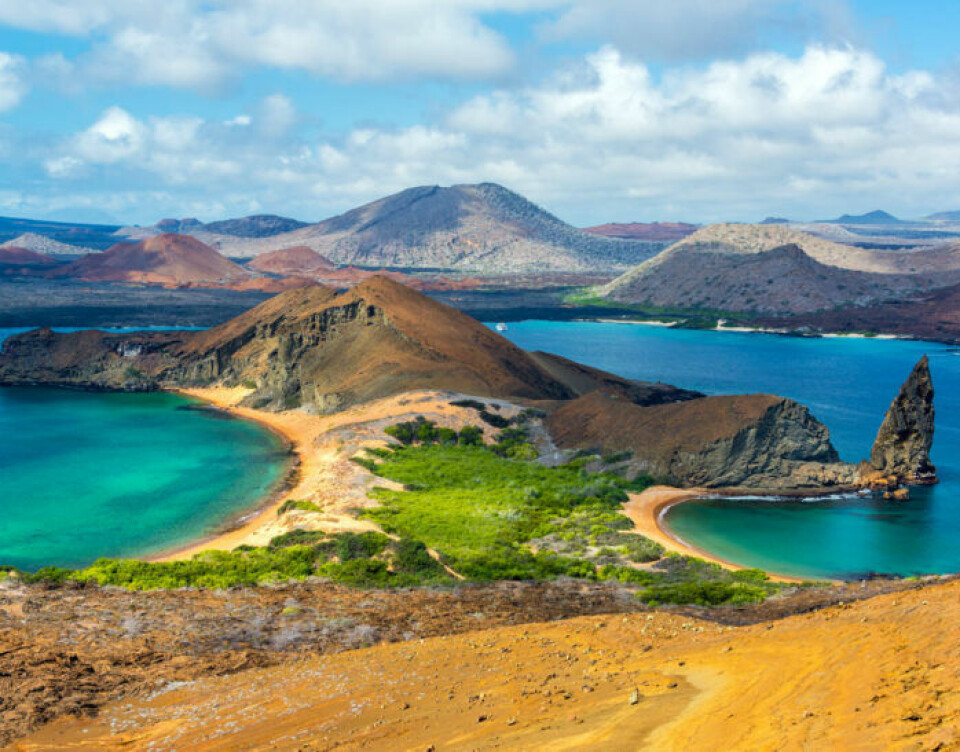 Upplev världen från din soffa – 11 attraktioner du kan besöka online