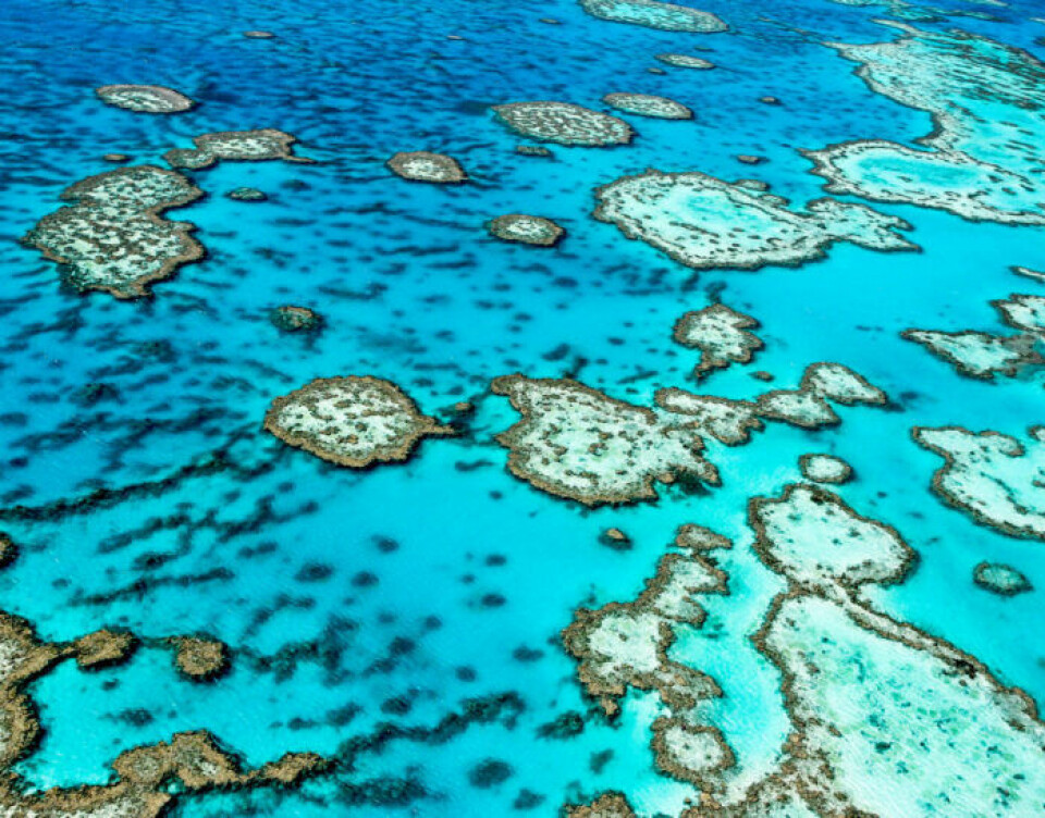 Upplev världen från din soffa – 11 attraktioner du kan besöka online