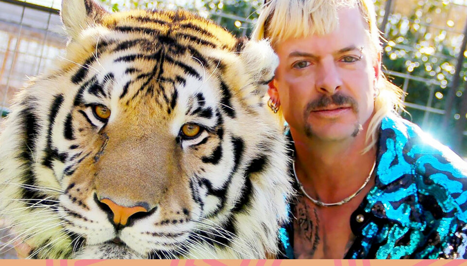 32 tankar jag hade när jag såg första avsnittet av Tiger King på Netflix