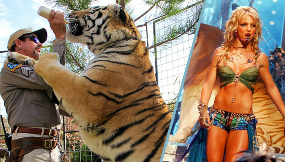 5 saker du inte visste om Tiger King på Netflix