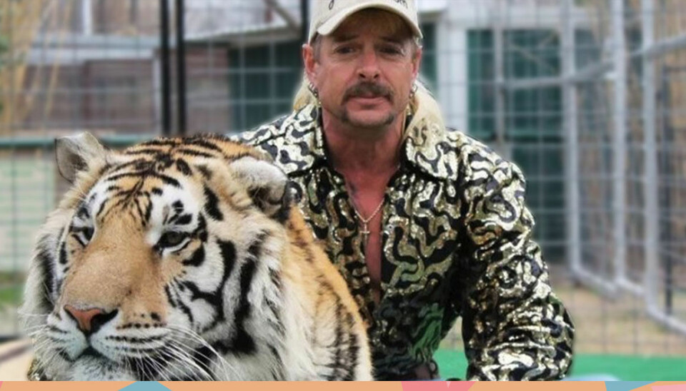 Netflix kan släppa nytt avsnitt av Tiger King - här är allt vi vet!