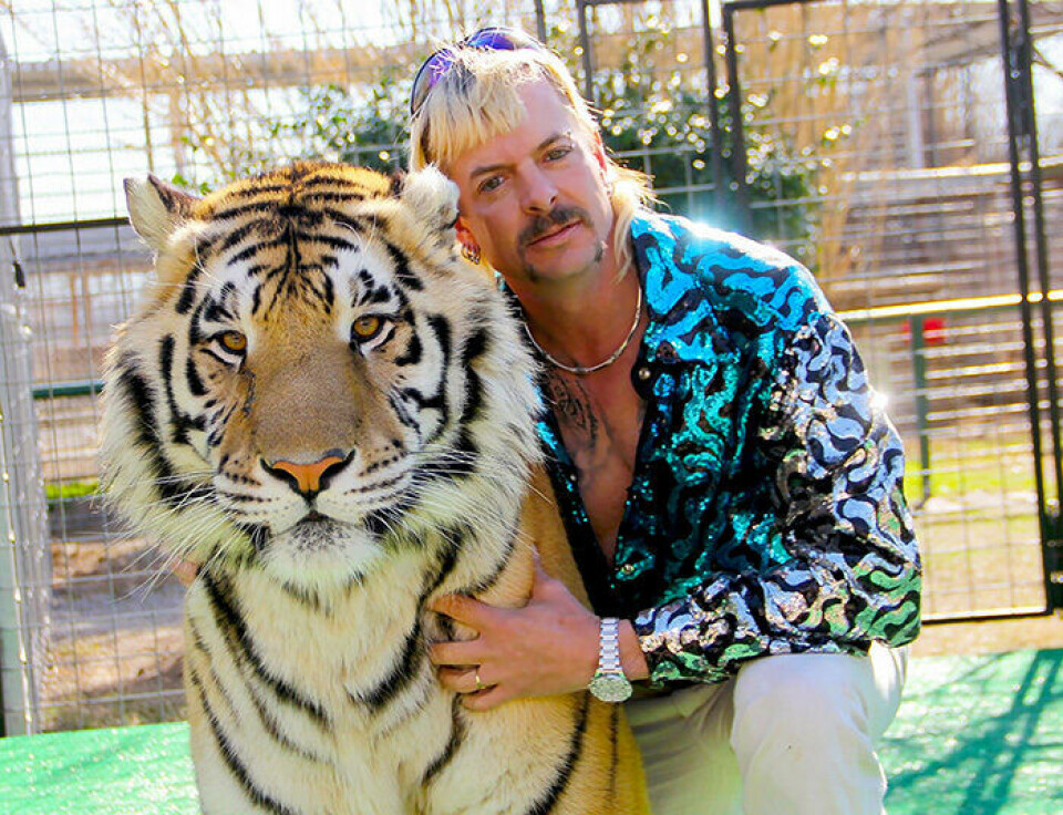 Tiger King med fängslade Joe Exotic är en av Netflix största tittarsuccéer. Tiger King med fängslade Joe Exotic är en av Netflix största tittarsuccéer.