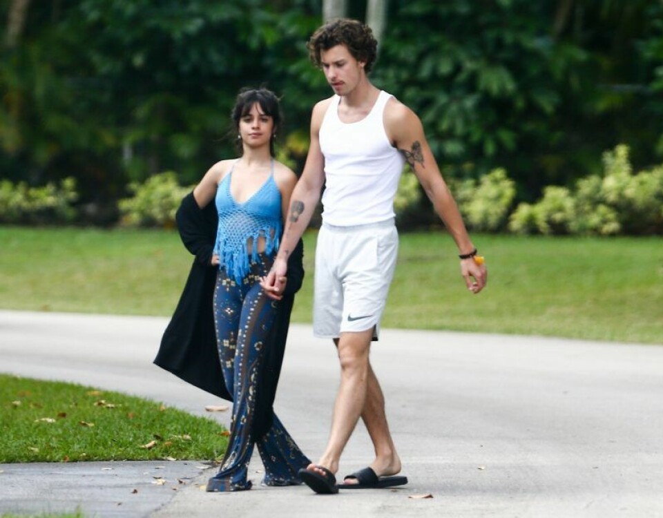 Shawn Mendes och Camila Cabello under karantän. Shawn Mendes och Camila Cabello under karantän.