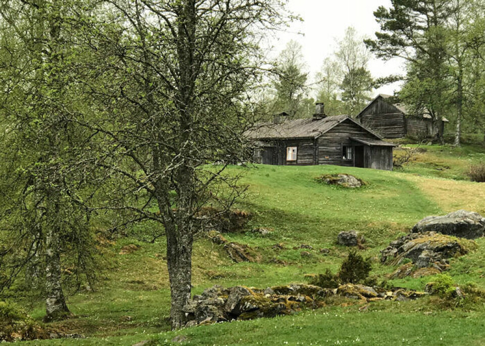 På den här leden vandrar du både i Norge och Sverige. Foto: Torsby Turistbyrå På den här leden vandrar du både i Norge och Sverige. Foto: Torsby Turistbyrå