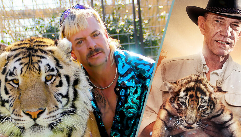 Dplay släpper ny dokumentär om Tiger King – Surviving Joe Exotic