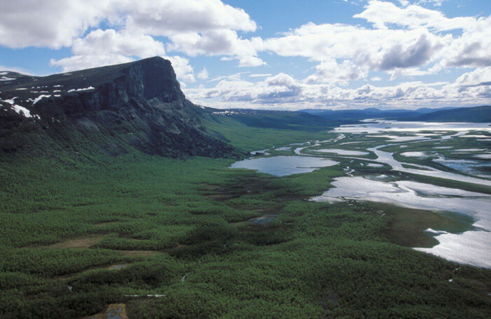 Vandra upp för Skierfeklippan och se den fantastiska utsikten över Sarek. Vandra upp för Skierfeklippan och se den fantastiska utsikten över Sarek.
