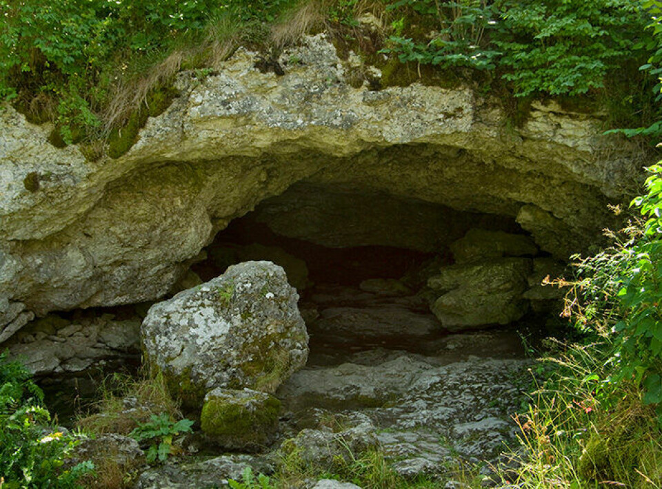 Ingången till Lummelundagrottan på Gotland. Foto: Mikael Gustafsson/N/TT Ingången till Lummelundagrottan på Gotland. Foto: Mikael Gustafsson/N/TT