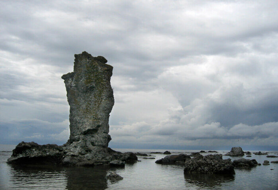Naturreservatet Digerhuvud är ett måste om du besöker Gotland. Foto: Anders Wiklund/TT Naturreservatet Digerhuvud är ett måste om du besöker Gotland. Foto: Anders Wiklund/TT