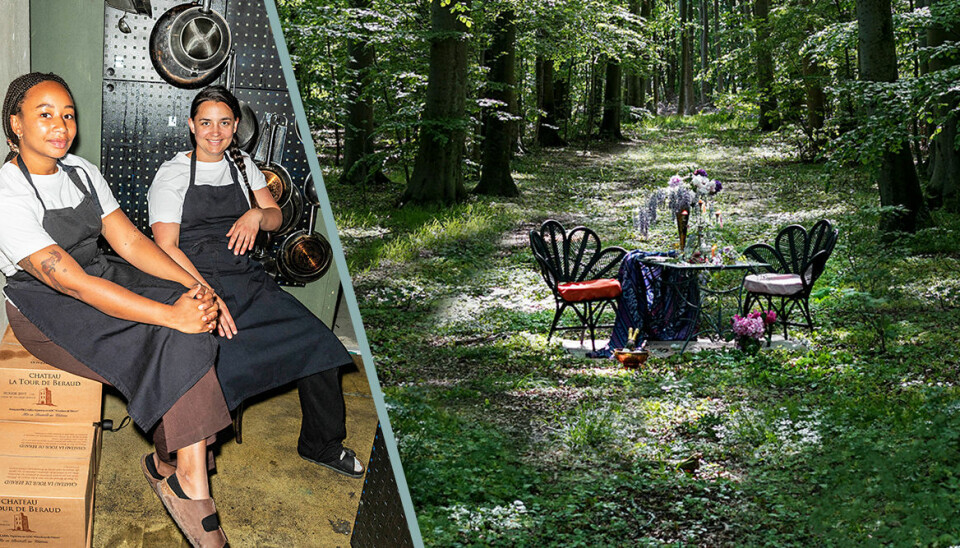 Nowhere: En ny restaurang mitt i naturen