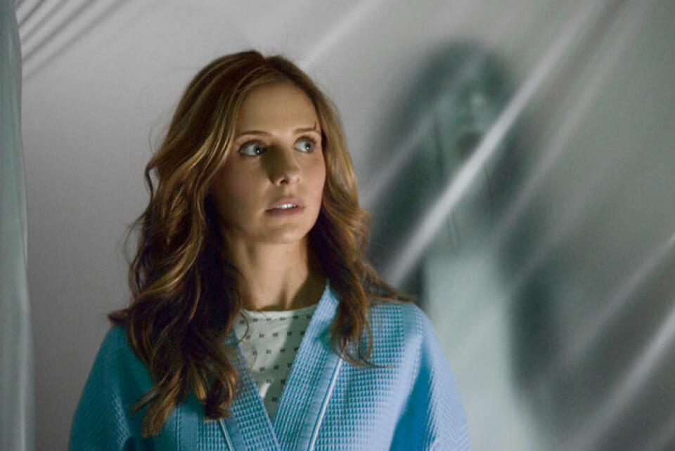 Den amerikanska versionen av The Grudge, med Sarah Michelle Gellar i huvudrollen, blev en världssuccé. Den amerikanska versionen av The Grudge, med Sarah Michelle Gellar i huvudrollen, blev en världssuccé.