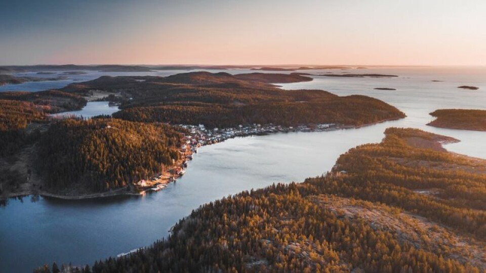 Ulvön kallas ibland ”Höga kustens pärla”. Ulvön kallas ibland ”Höga kustens pärla”.