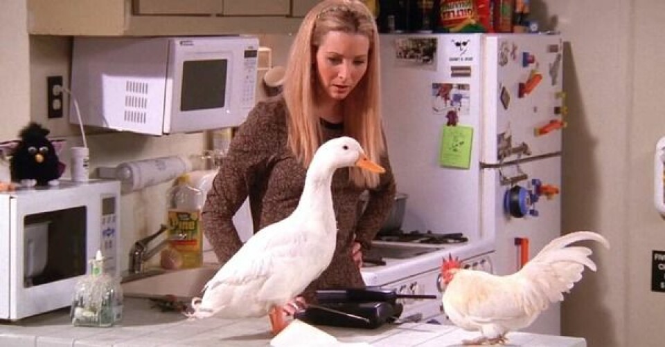 Topp 12 bästa avsnitten av Vänner någonsin