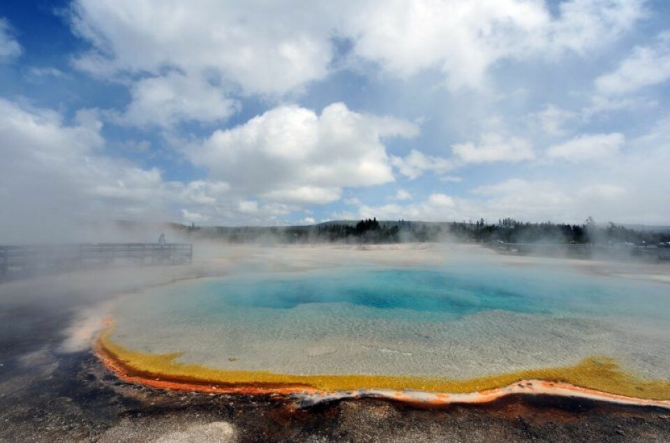 Yellowstone nationalpark i USA. Yellowstone nationalpark i USA.