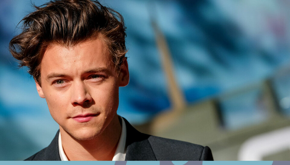 Harry Styles läser godnattsagor för fans – och internet jublar