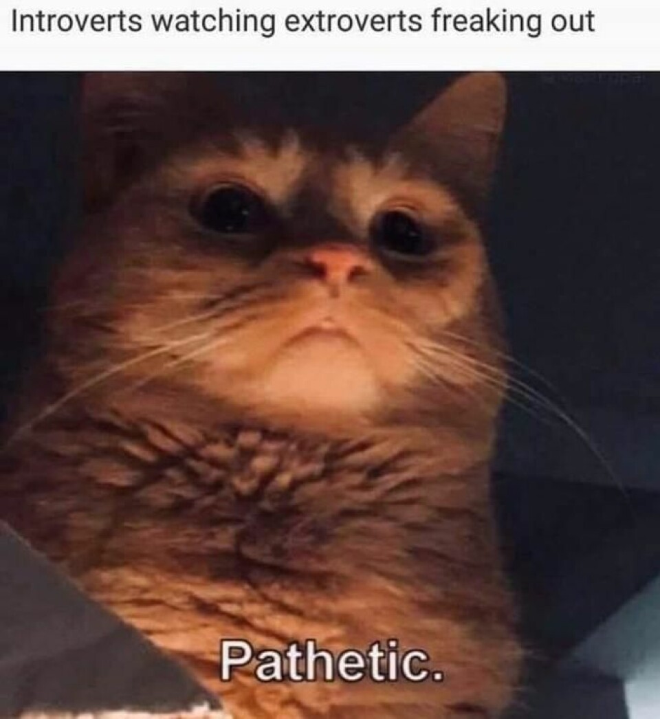 Trött på pandemin? Här är 21 memes som gör dig gladare